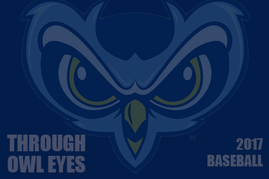 Through Owl Eyes: 2017 Baseball Recap