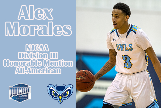 Prince George's Alex Morales Named Men's Basketball NJCAA Division III Honorable Mention All-American