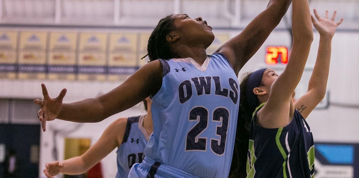 Prince George's Women's Basketball Returns To The Novak Hardwood Against Cecil On Wednesday