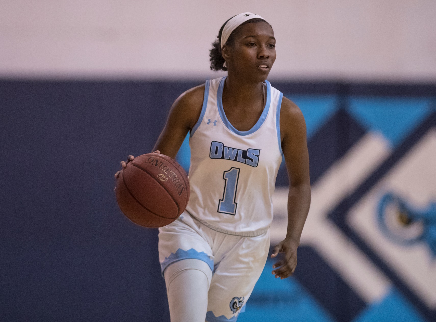 Lady Owls Fall To Chesapeake College On The Road
