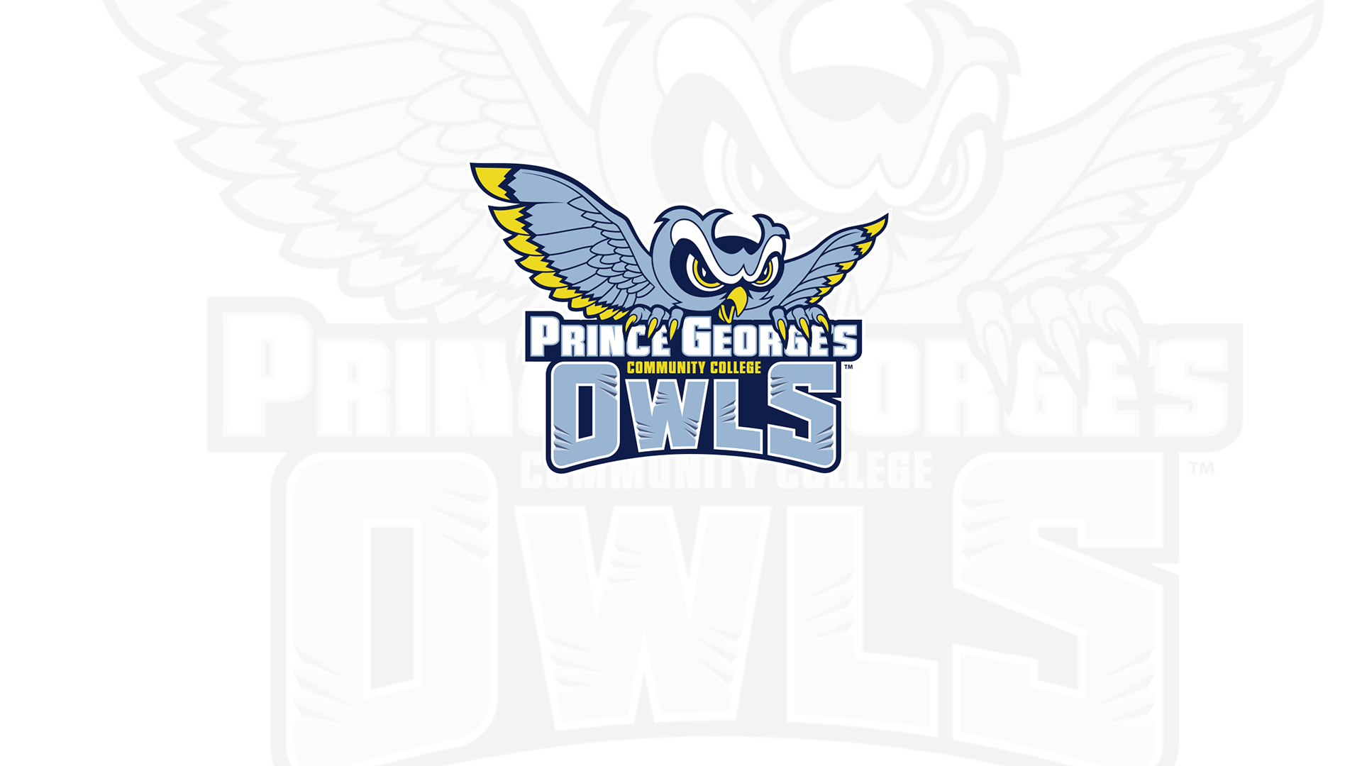 Owls Softball Sweeps Allegany College