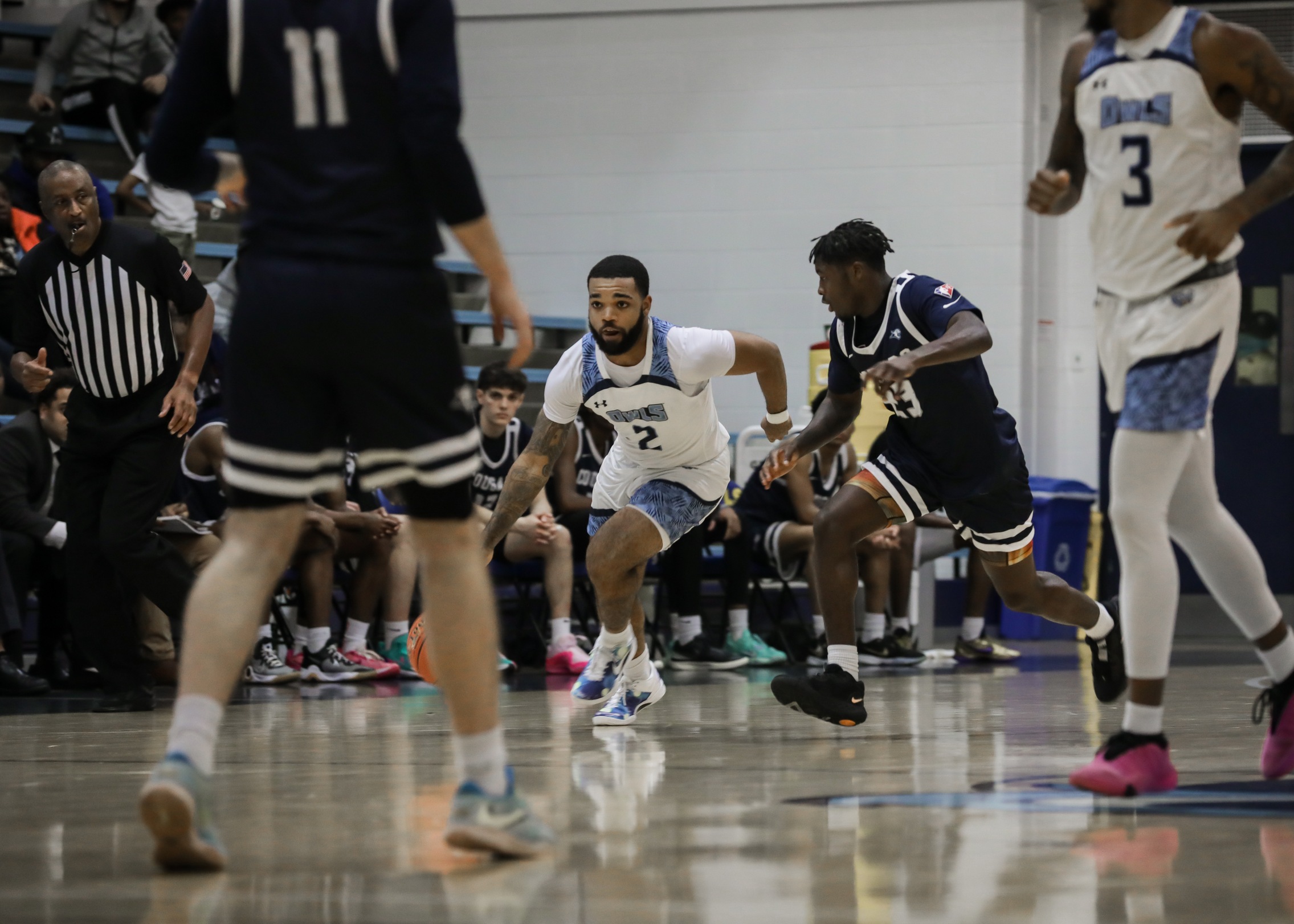 Owls Stumble On The Road Against DI Allegany